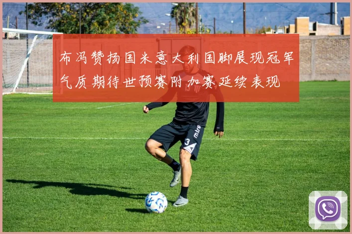 布冯赞扬国米意大利国脚展现冠军气质期待世预赛附加赛延续表现