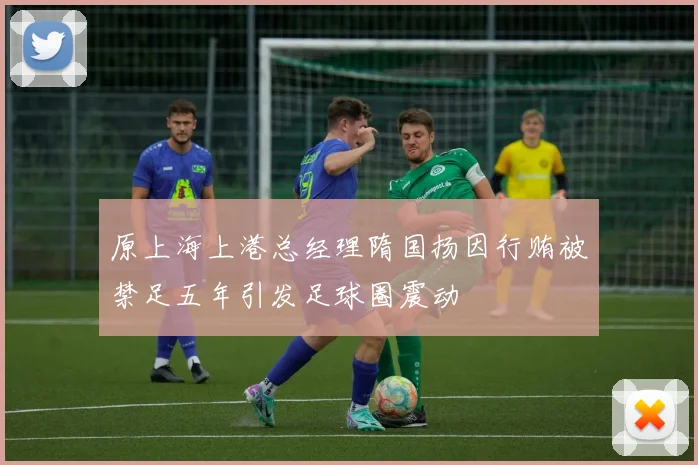 原上海上港总经理隋国扬因行贿被禁足五年引发足球圈震动